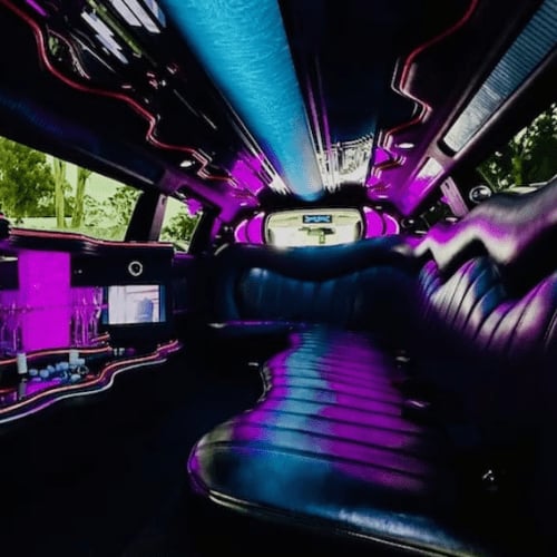 Limo hire inner west 4 — Show Limousines