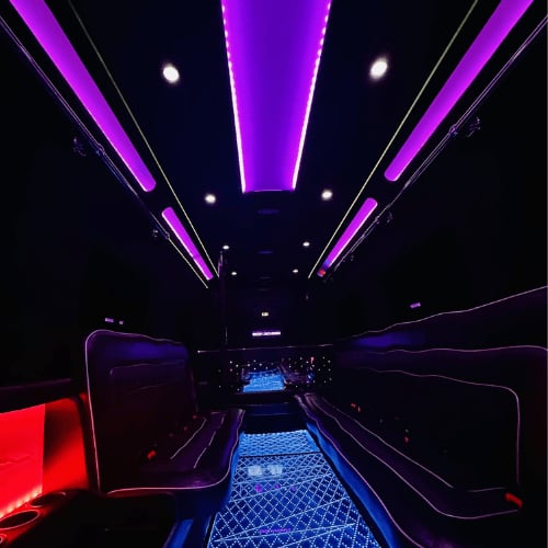 Limousine hire bankstown — Show Limousines